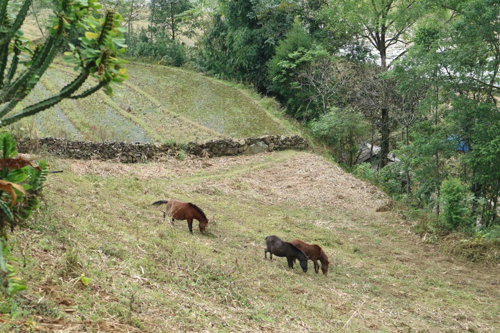 Appartamento The Zen House Sapa Esterno foto